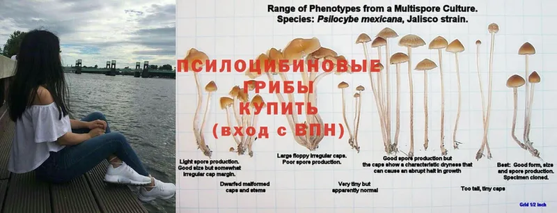 Меф мяу мяу Коркино